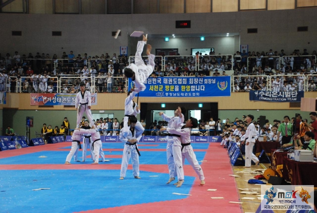 충남태권도협회-2017 대전MBC배 전국태권도페스티벌-6790213278.jpg