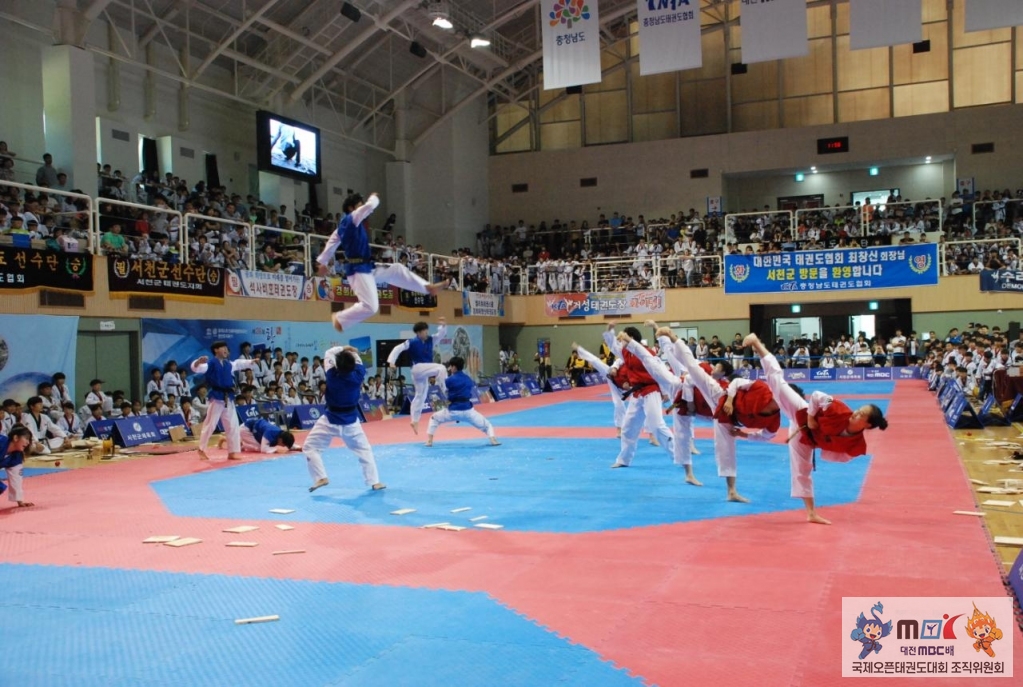 충남태권도협회-2017 대전MBC배 전국태권도페스티벌-6790213281.jpg